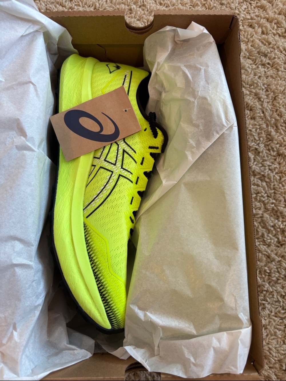 ASICS Fujispeed 3 Trail Running Shoes
